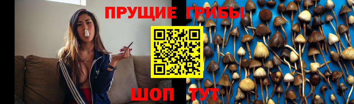 Галлюциногенные грибы Psilocybe  Вход с VPN  Обь 